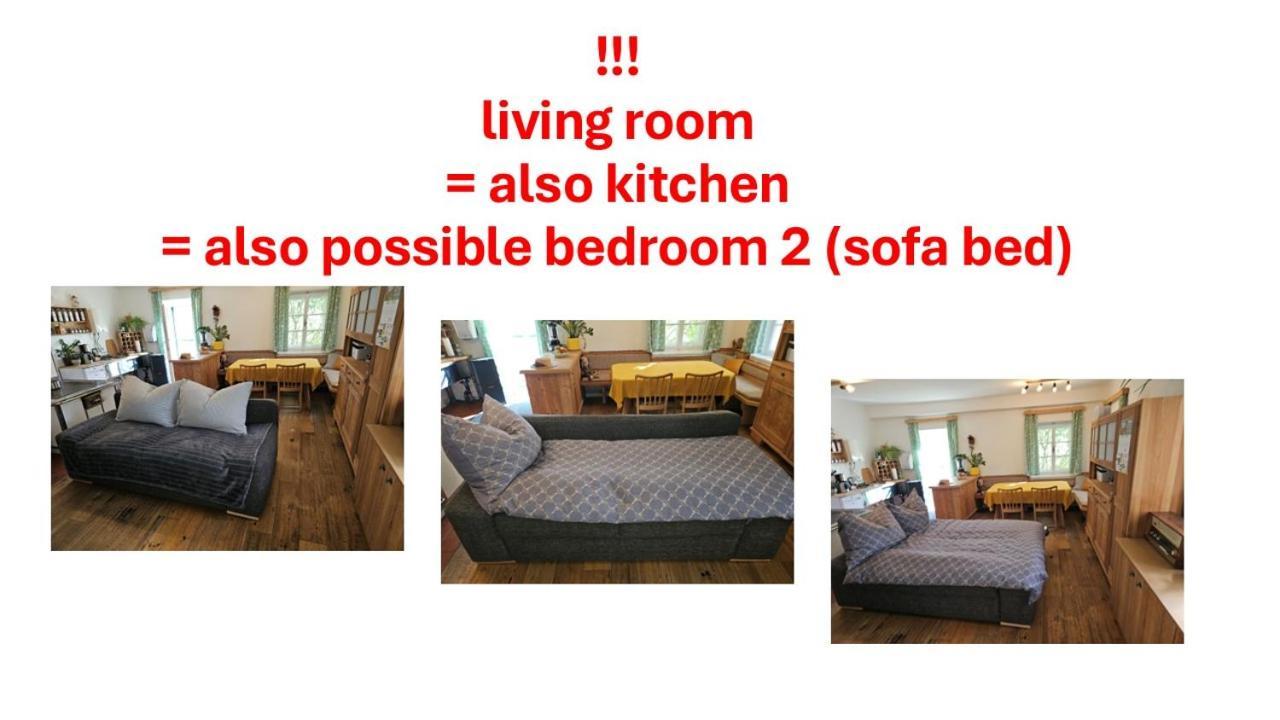 Premium Apartment Mit Privatem Whirlpool, Sauna, Garten Sankt Martin am Grimming Eksteriør billede